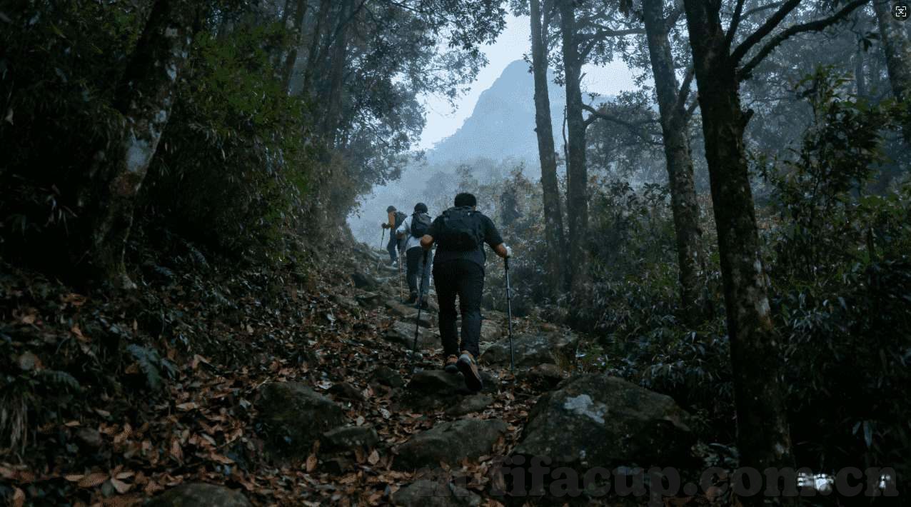卡塔尔世界杯竞猜官网-卡塔尔世界杯竞猜官网，体验足球盛宴的线上平台