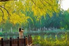 哪里能有足球比分-解锁足球比分获取新姿势，从传统渠道到智能时代的全方位指南